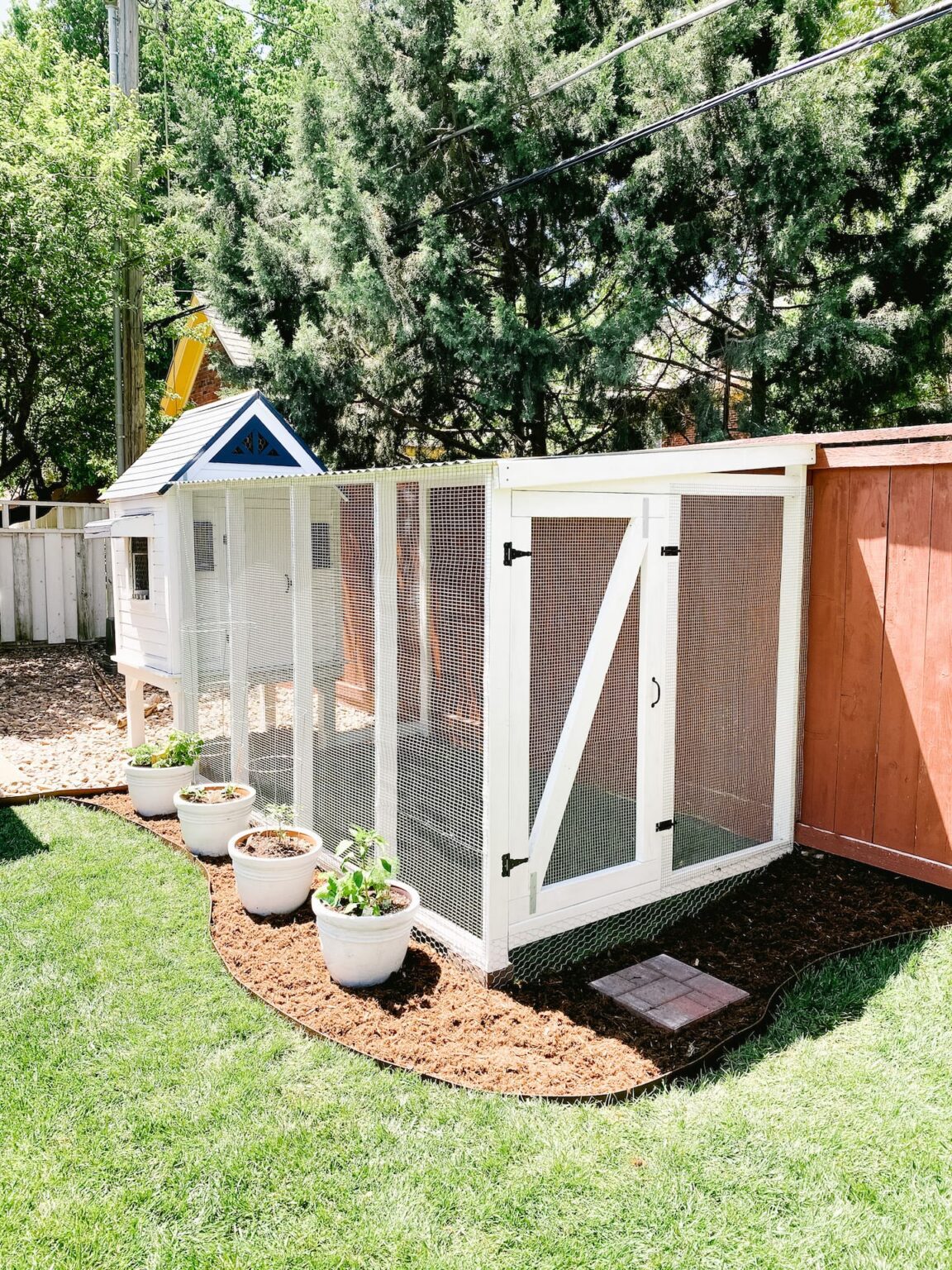  Get Rid Of Flies in Chicken Coop - Best Tips and Tricks 