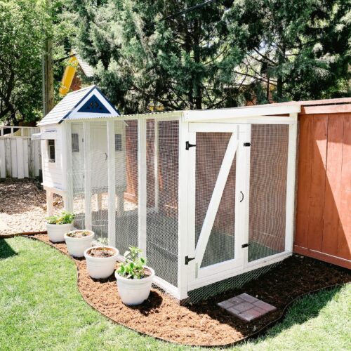 chicken coop
