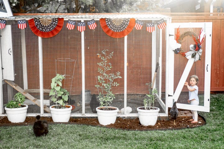 4th of July decorated chicken coop