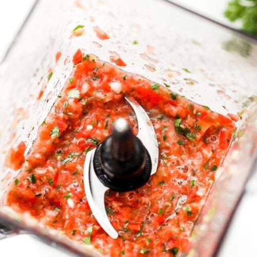 blended garden salsa