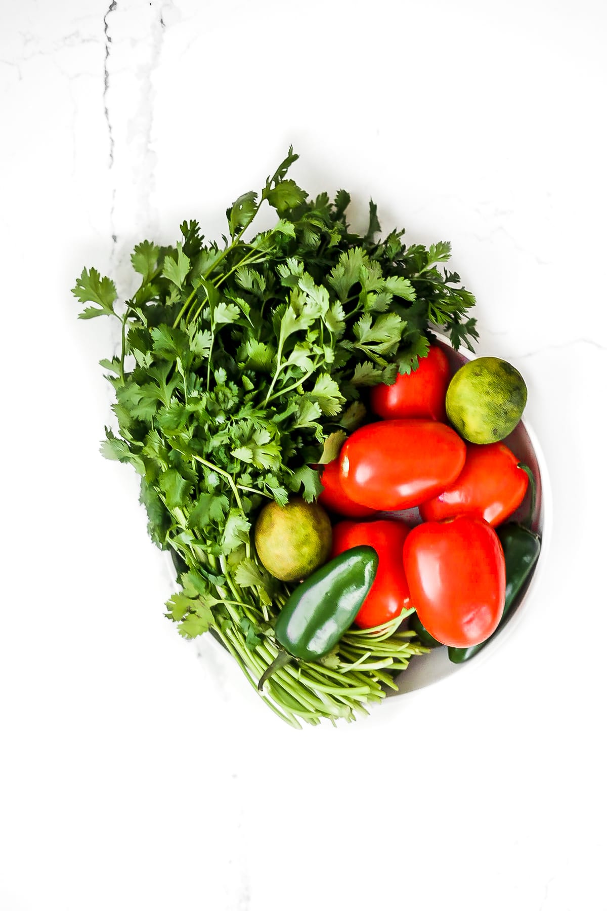bowl of garden veggies for salsa