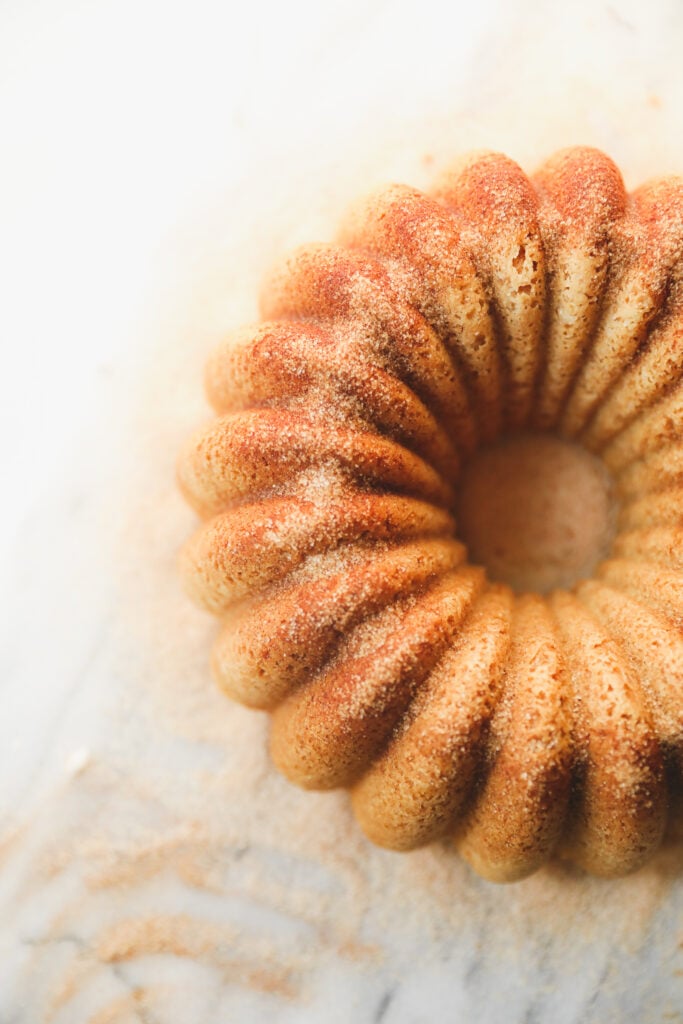 snickerdoodle Bundt Cake dusted with cinnamon sugar 