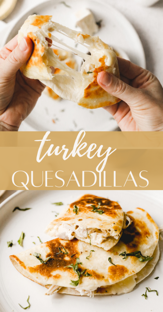 turkey quesadilla pin image
