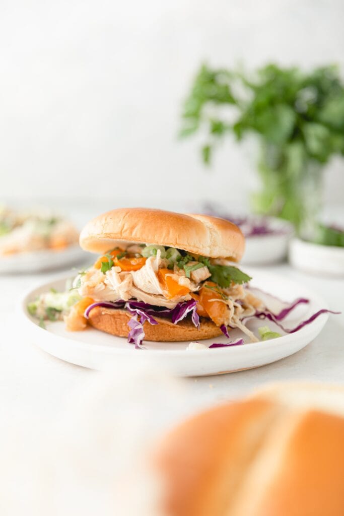 shredded Hawaiian chicken on a brioche bun
