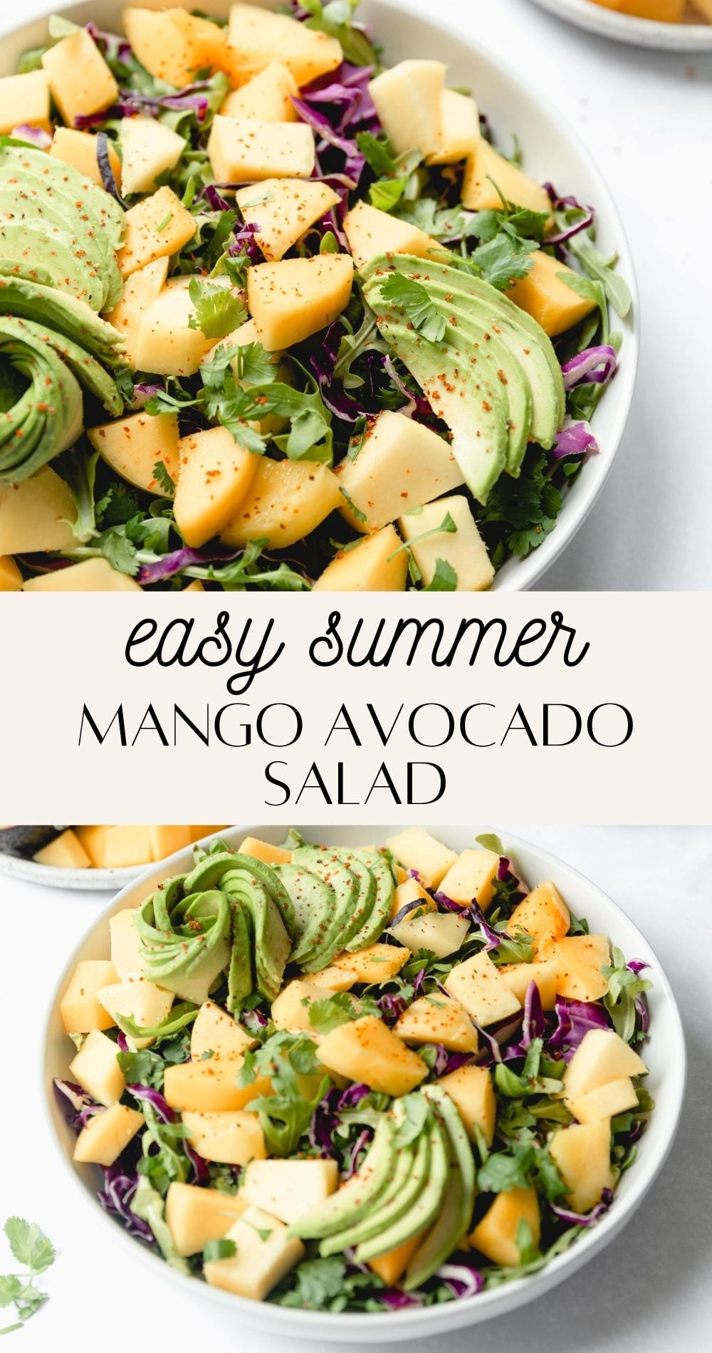 Summer Mango Avocado Salad - Delicious and Light Summer Salad Recipe