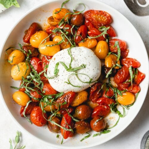 white bowl with blistered cherry tomatoes and a ball of burrata