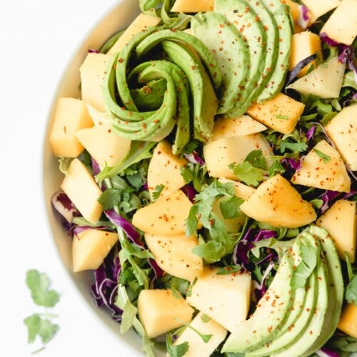 Close up photo of mango avocado salad garnished with cilantro