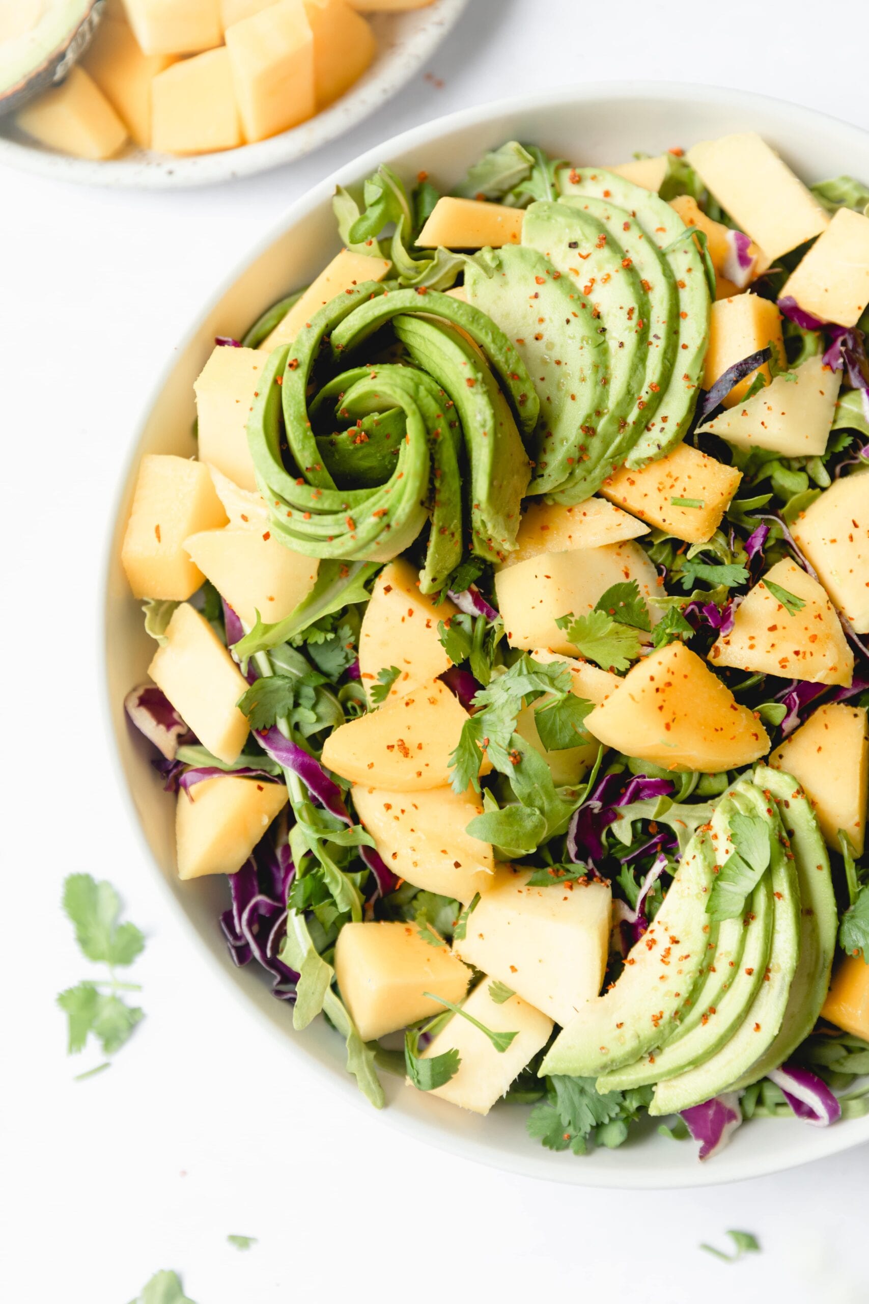 Close up photo of mango avocado salad garnished with cilantro