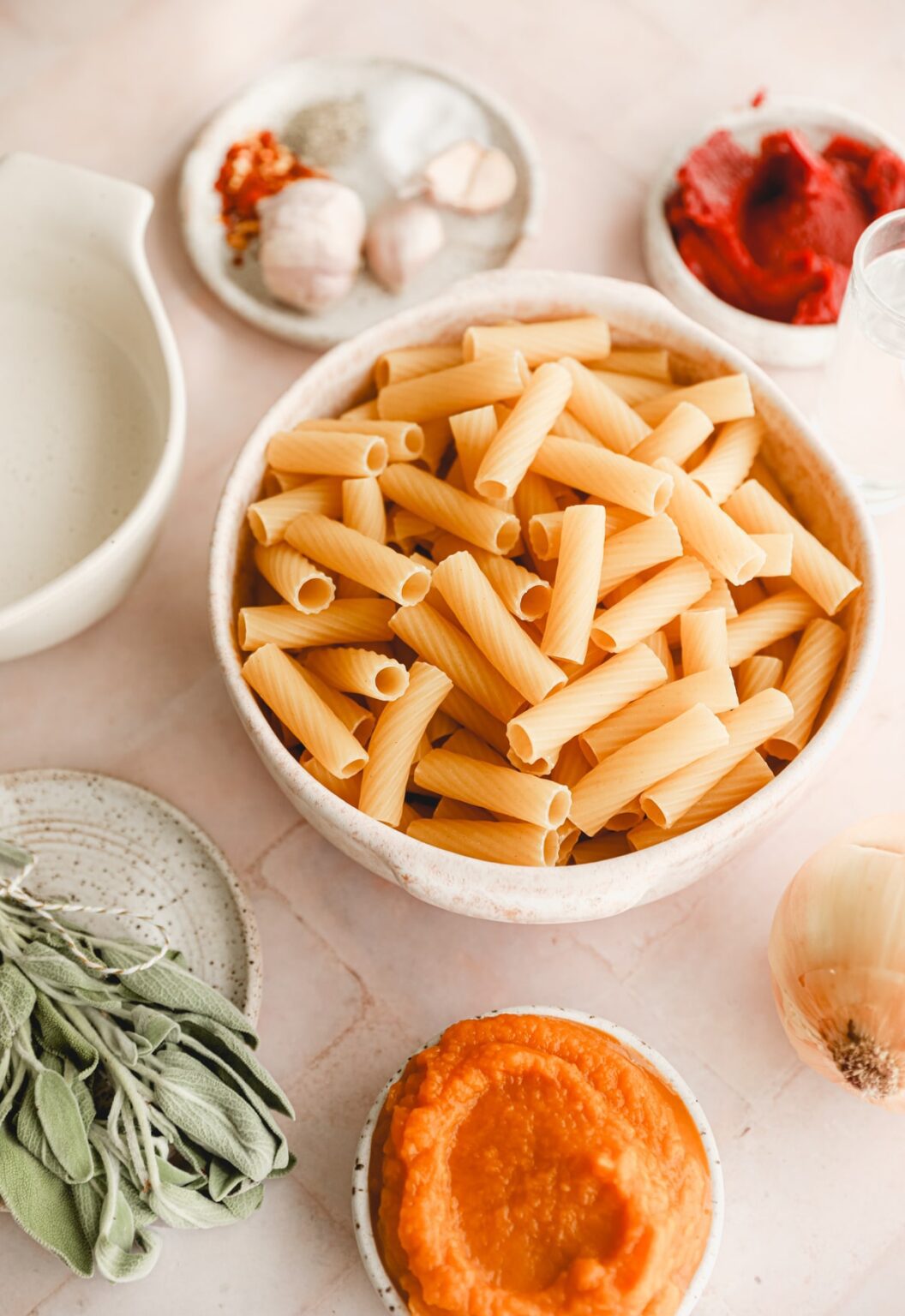 Pumpkin Vodka Sauce with Penne Pasta