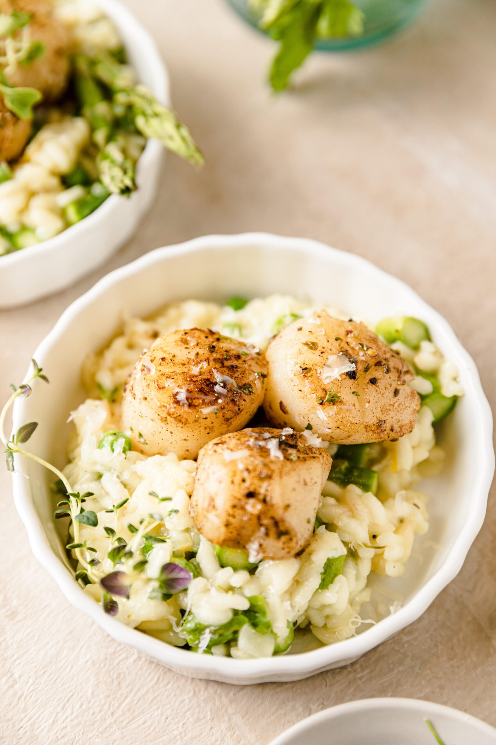 close up bowl of sea scallops on risotto