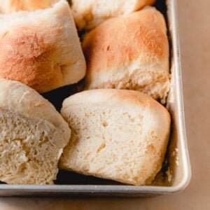 baking pan with yeast dinner rolls