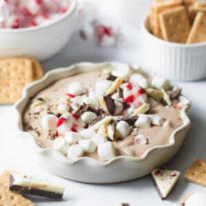 bowl of hot cocoa dip surrounded by graham crackers