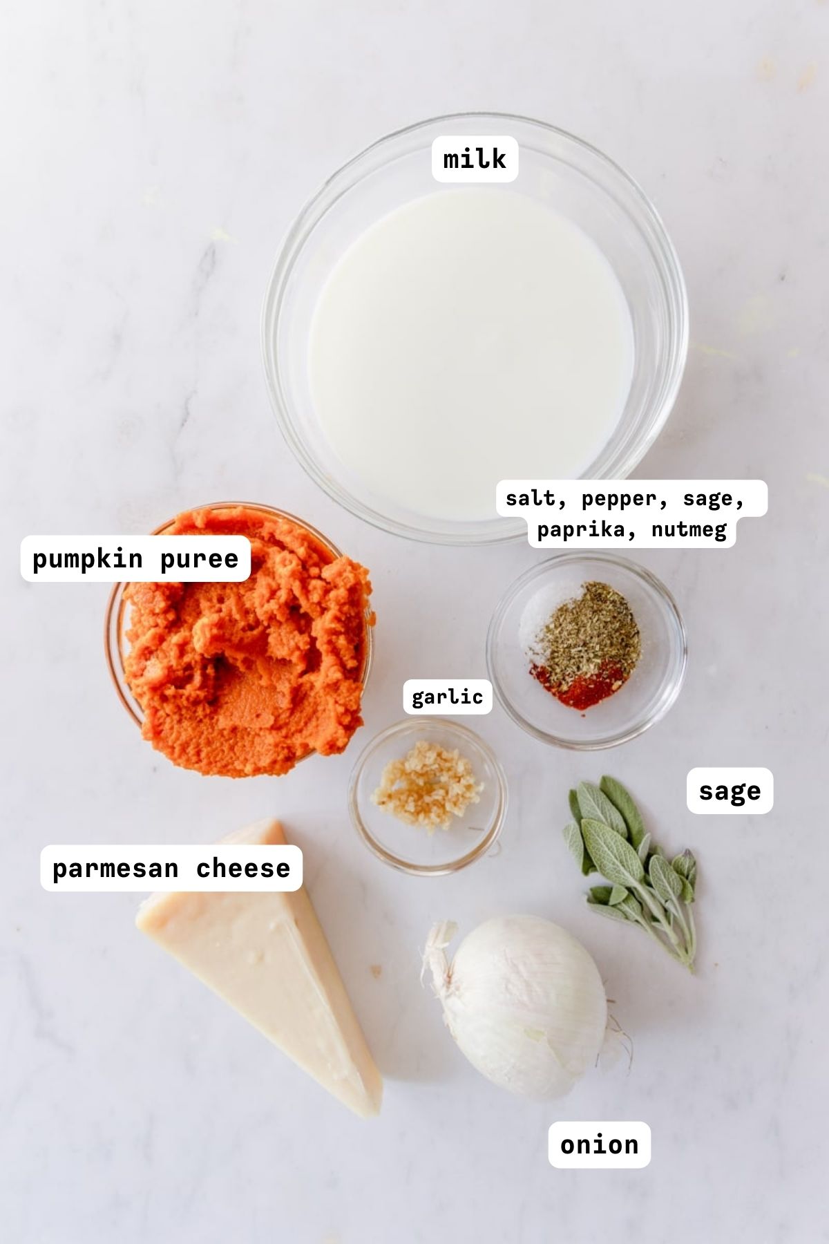pumpkin pasta sauce ingredients