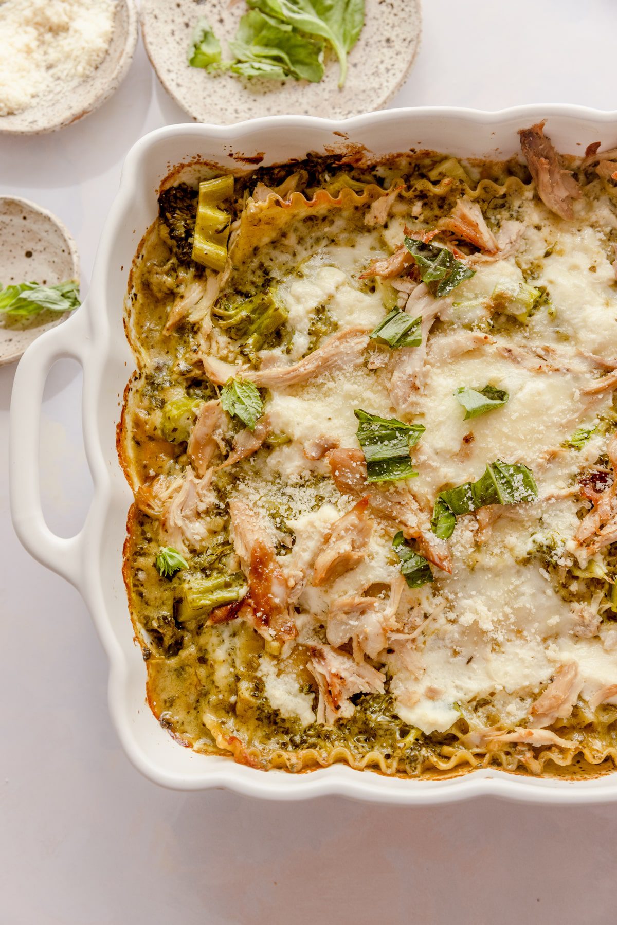 Pan of chicken & broccoli lasagna.