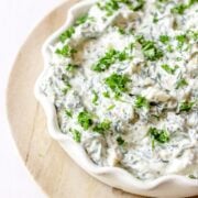 Bowl of knorr vegetable dip.